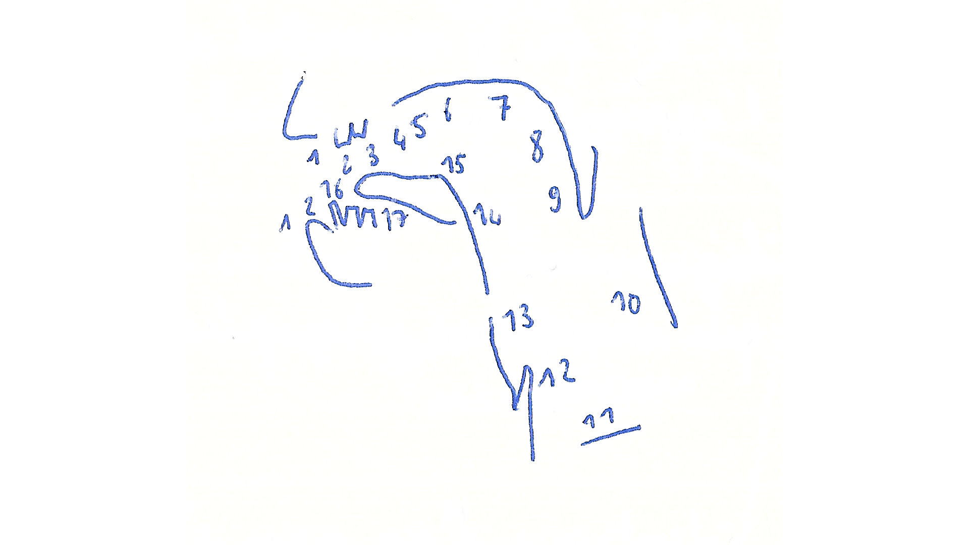 Dessin extrait du carnet de recherche (Morphologie, 2021) Projet en cours d'élaboration, carnet de recherche