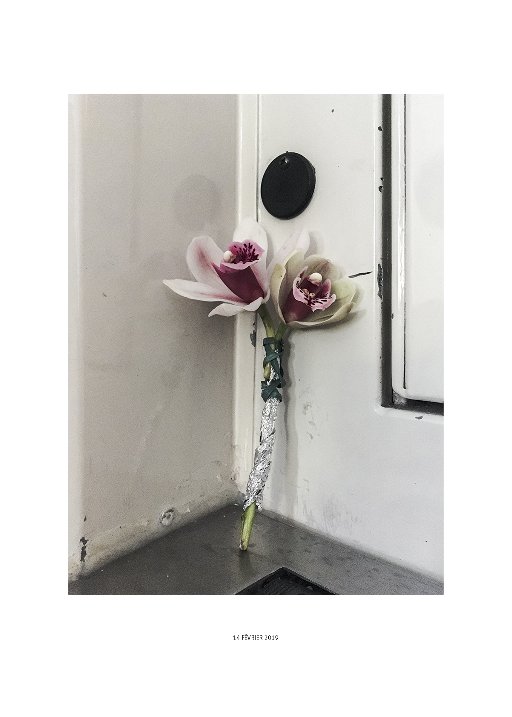 {Offrande (deux orchidées avec papier aluminium), Manoppello, 14 février 2019}, 2020