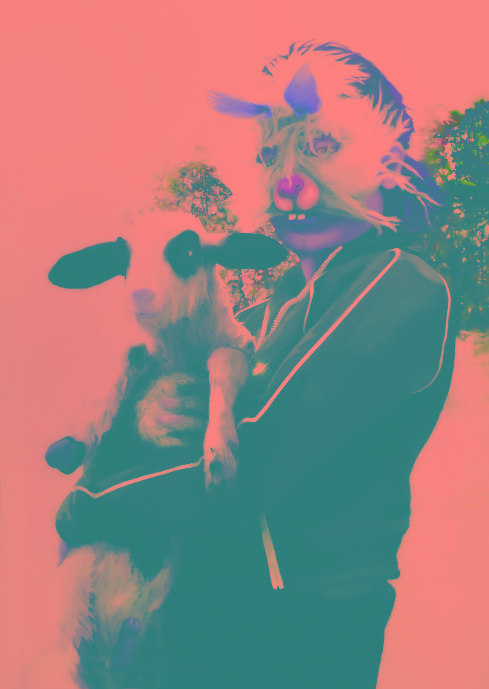 {Rocko mon agneau}