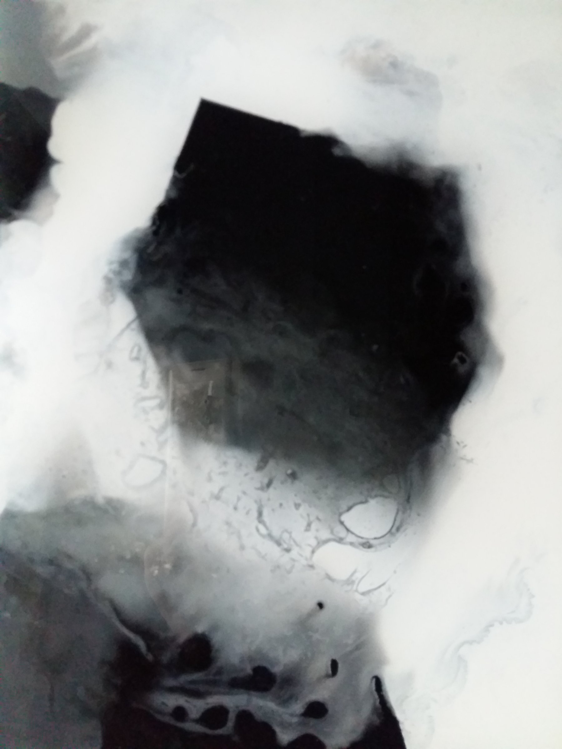 {Geo-dispersion}