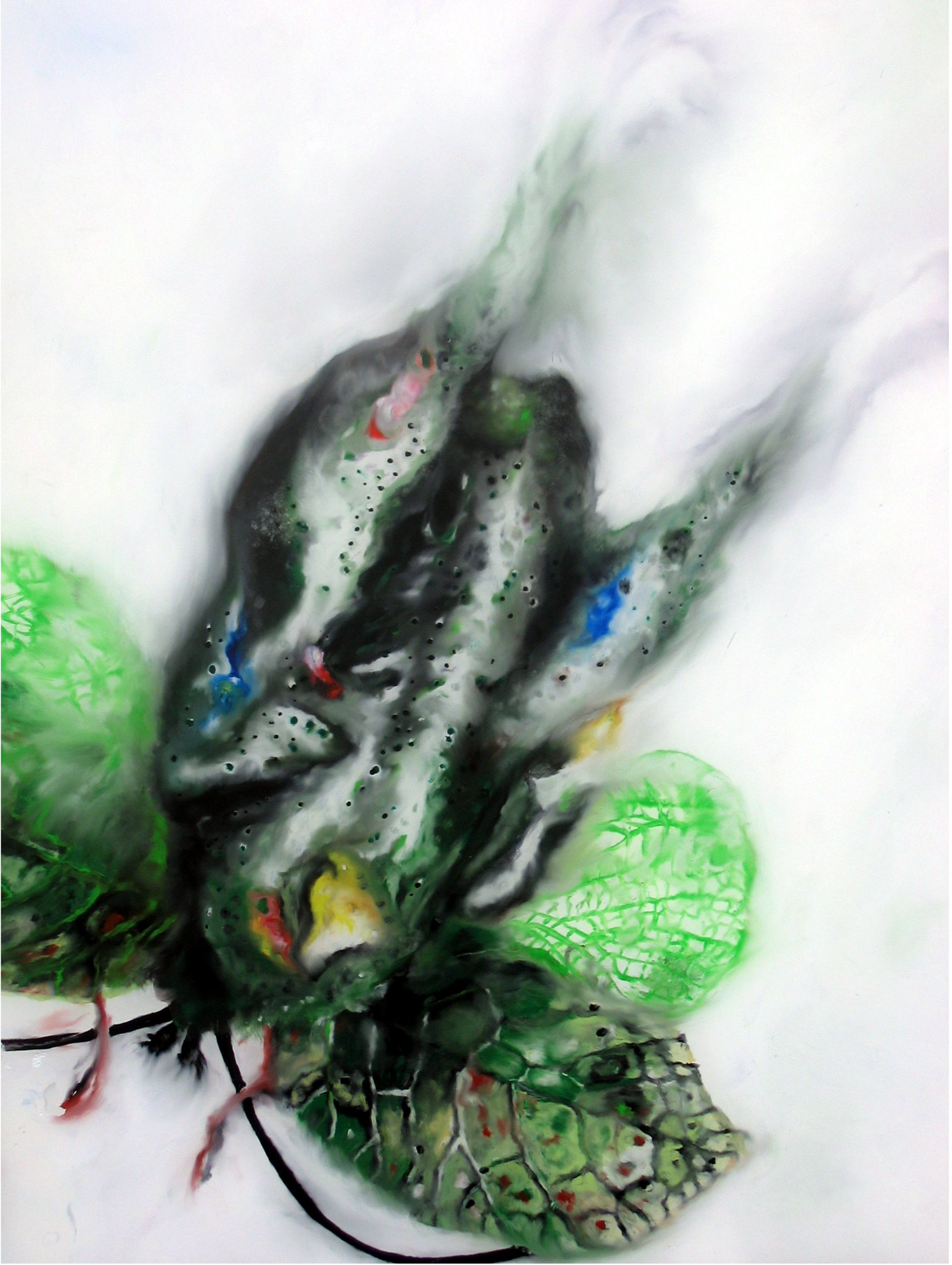 {Insecte bio végétal}