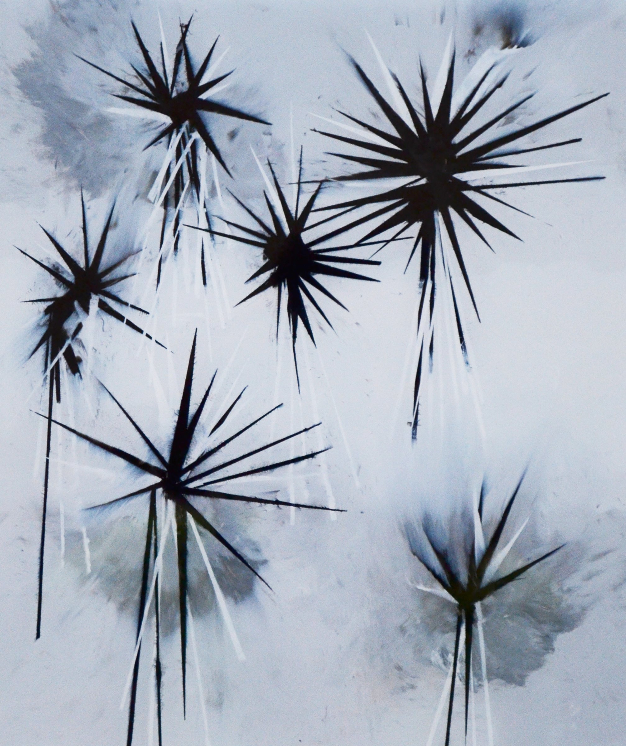 {Palmiers oxymoriques}