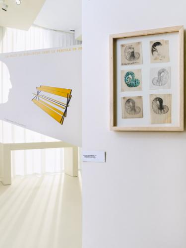 Vue de l'exposition Jean Sabrier, 2011-2012