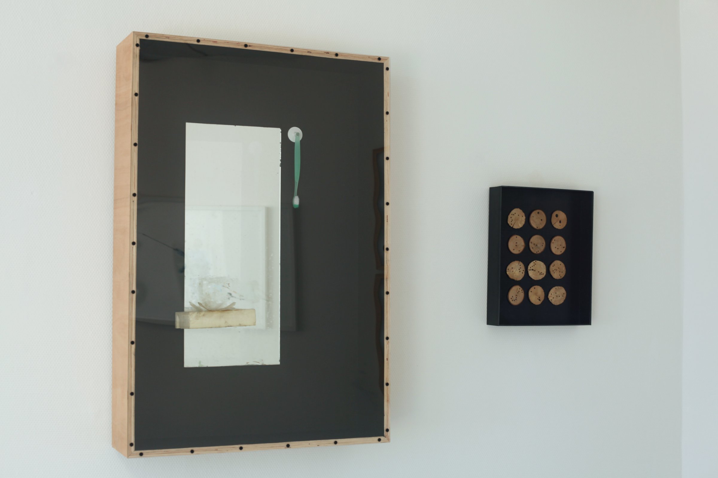 Surf pour la mémoire et pour l'oubli, 2014 Casse bois, miroir, brosse à dent, isolant, savon, 90 x 70 x 20 cm À droite : Constellation du cercle des petits animaux, 2013 Bois, plexiglas, 40 x 30 x 6 cm