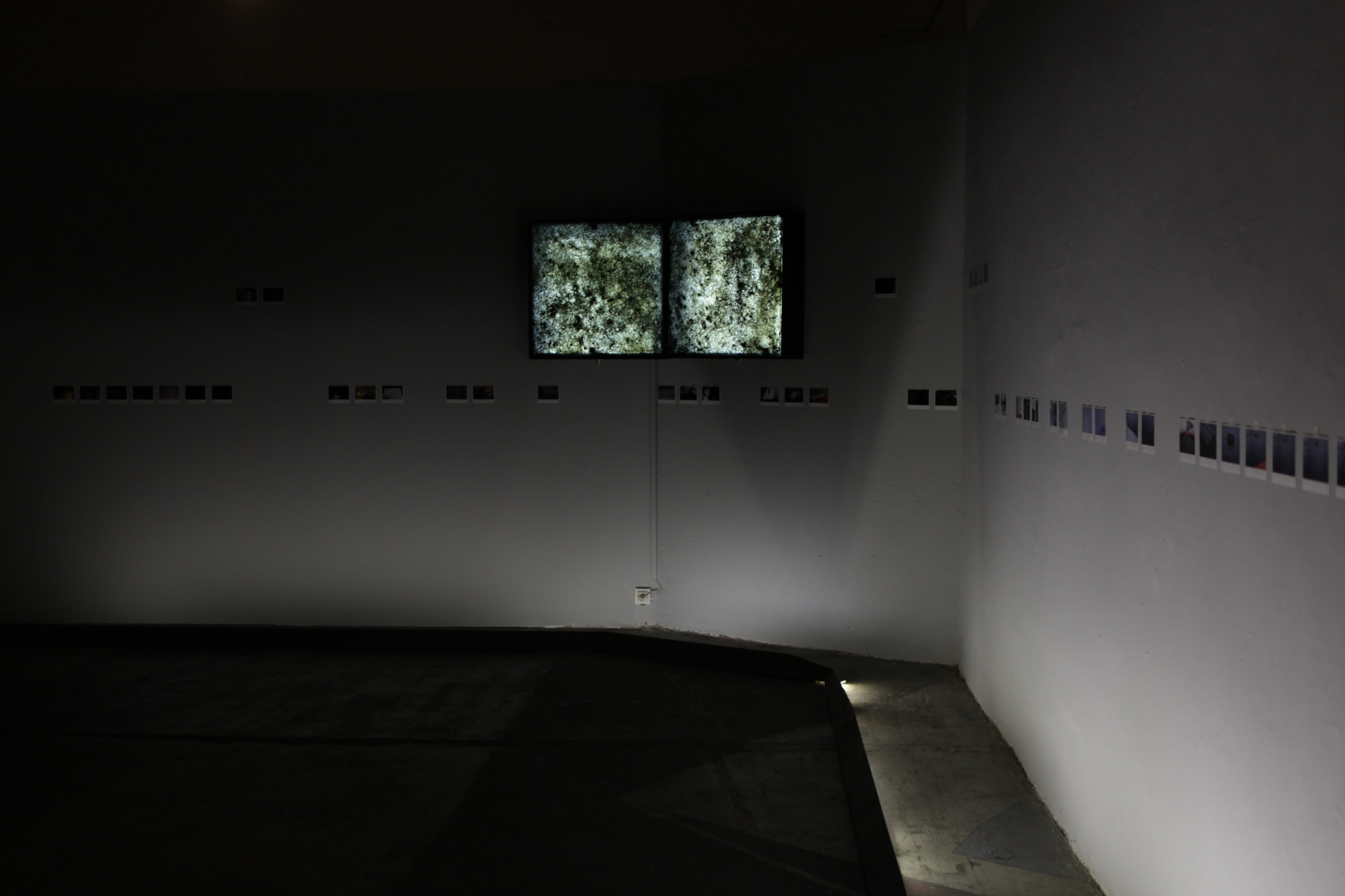 Avec une œuvre de Laura Freeth