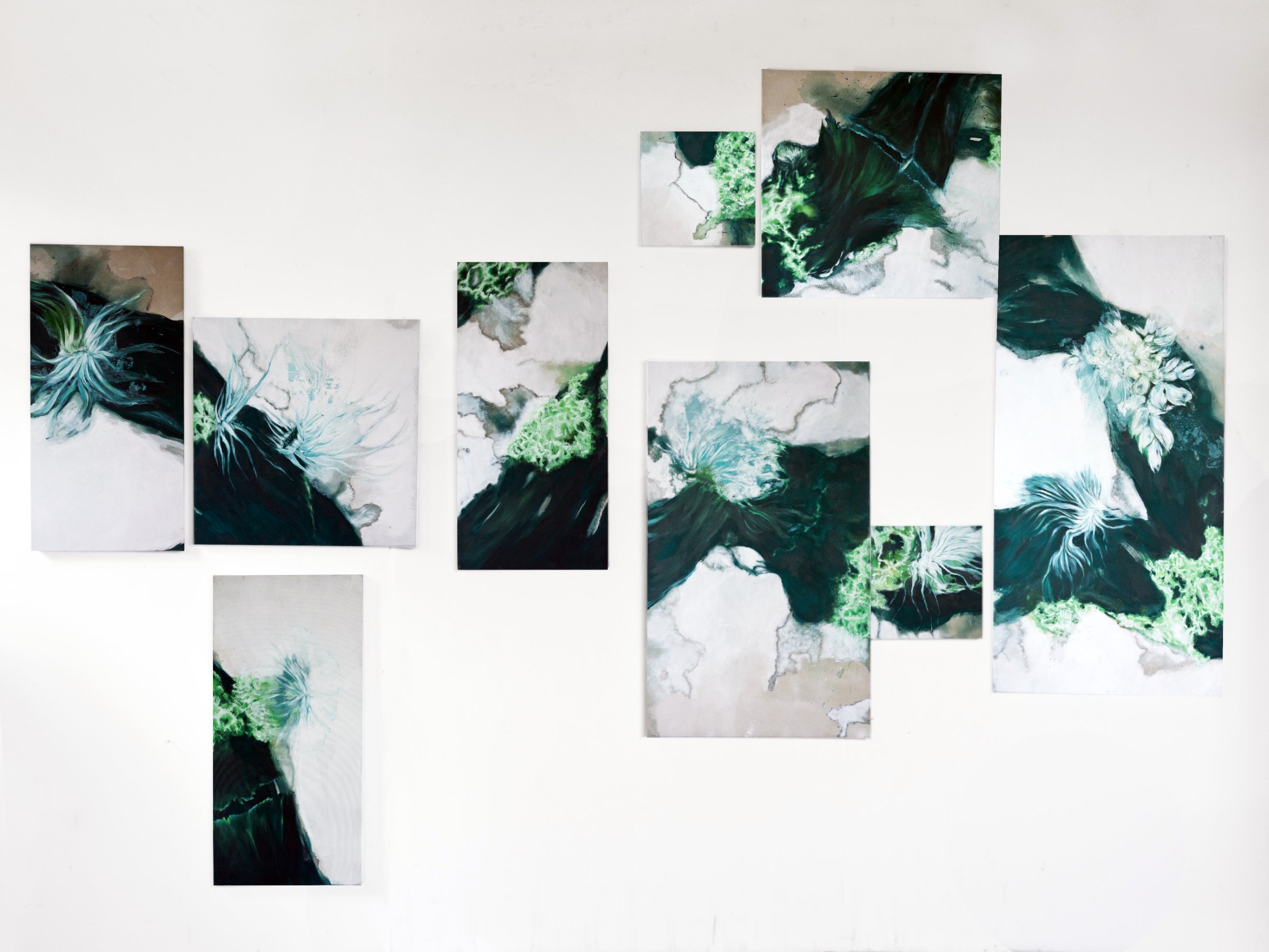 {Études de lichens}, 2024