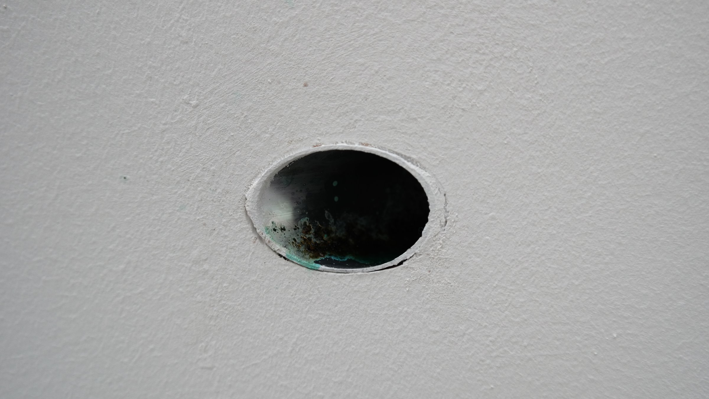 {EUNOE III}, détail, 2017