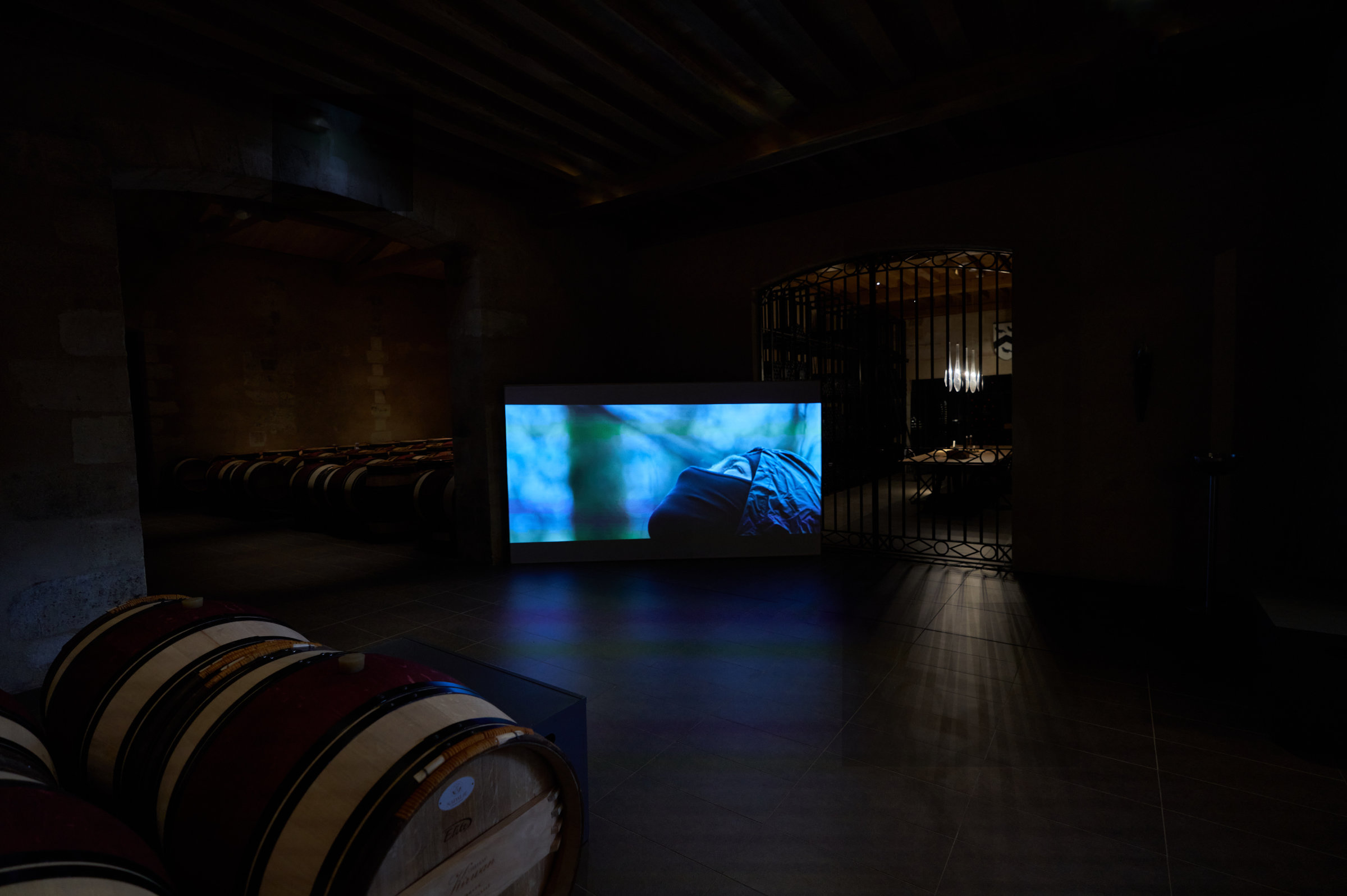 Vue de l'exposition Faire un geste, Frac Nouvelle-Aquitaine MÉCA, BAM projects, Château Kirwan (Domaine Margaux), 2021