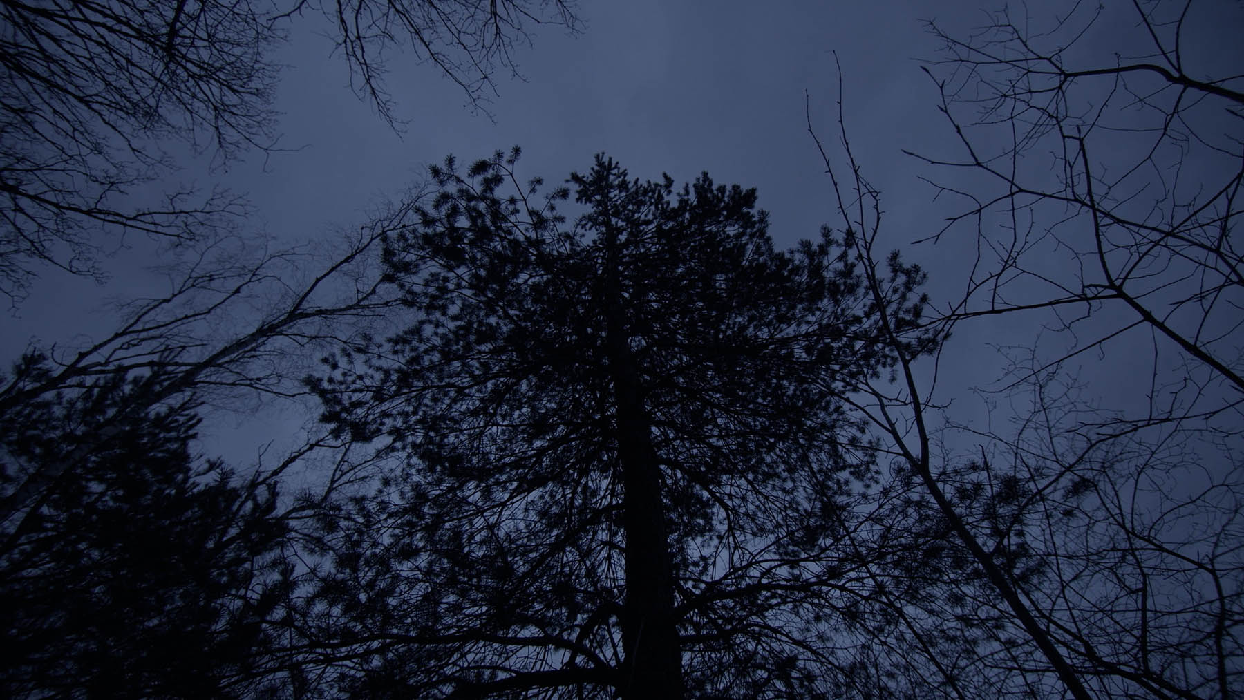 Image extraite du film