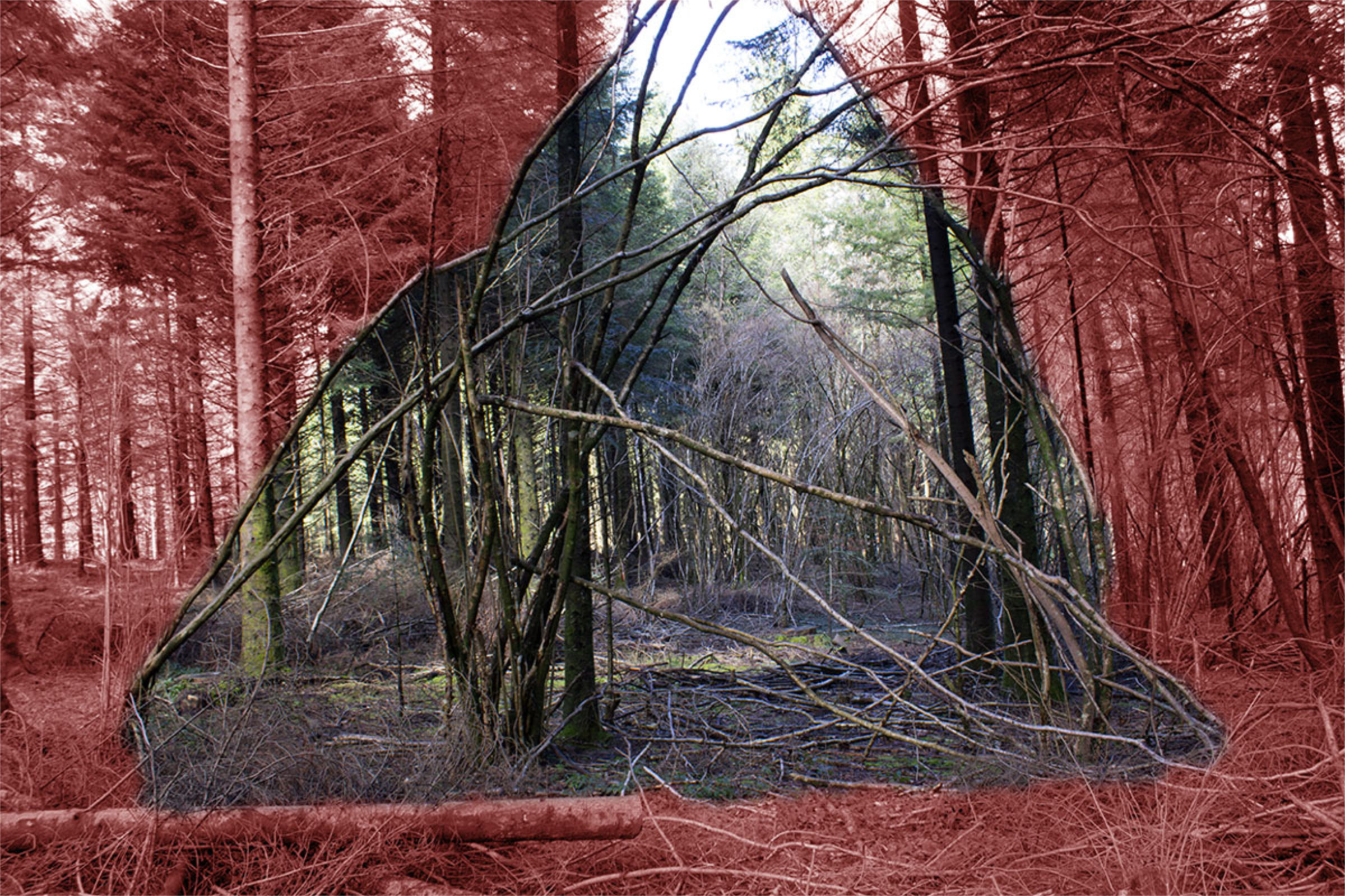 {Refuge 1}, 2016
