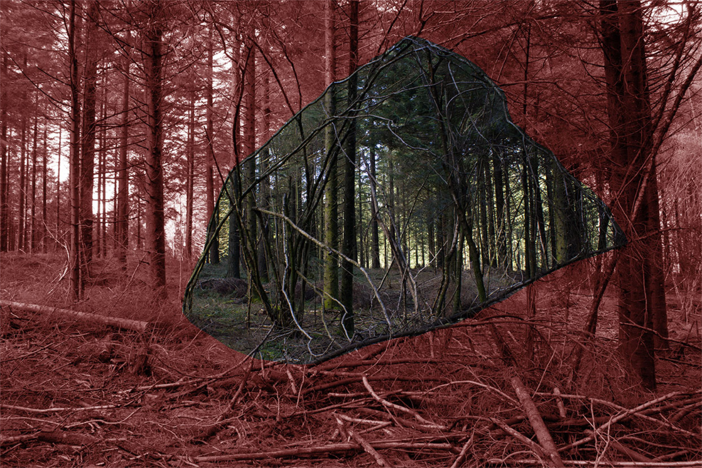 {Refuge 2}, 2016