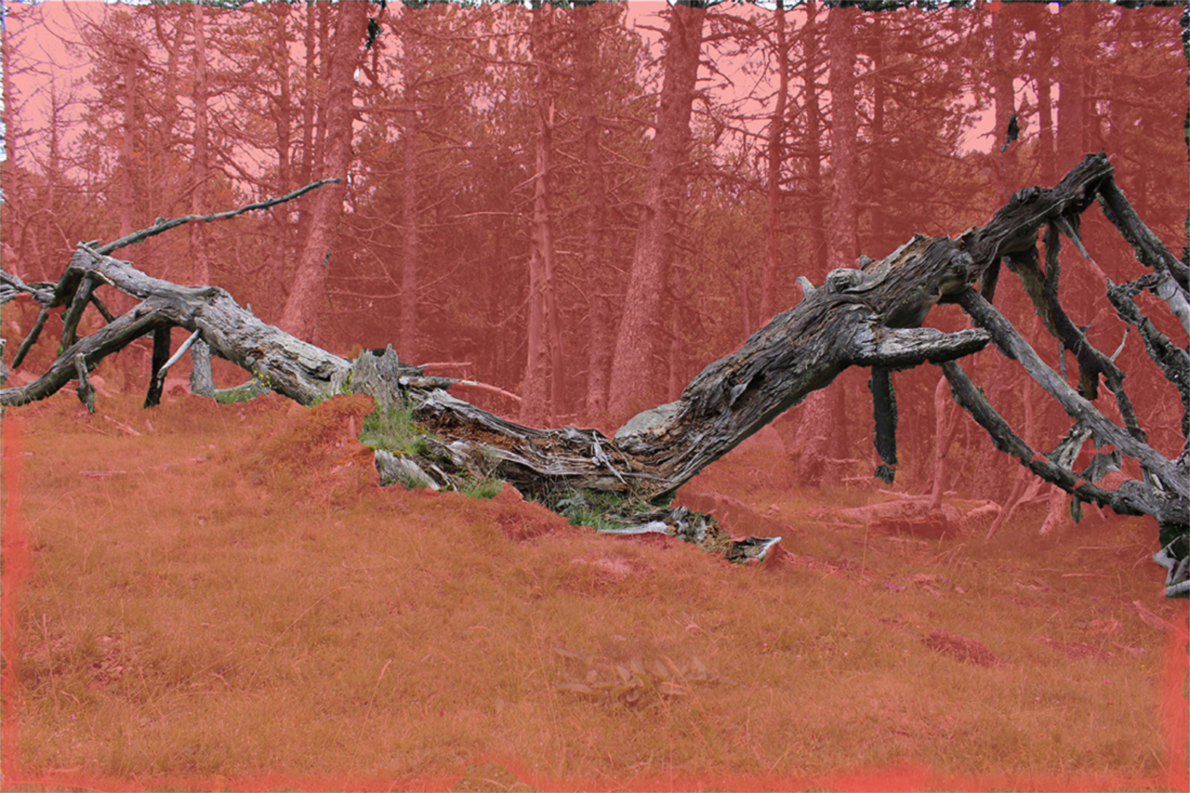 {Refuge 3}, 2016