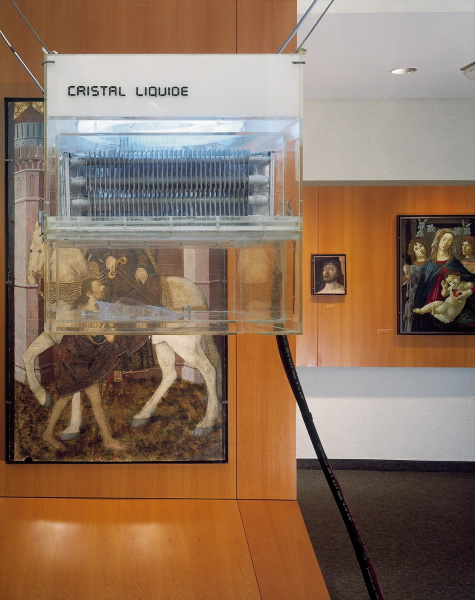 {Cristal Liquide}, 1982