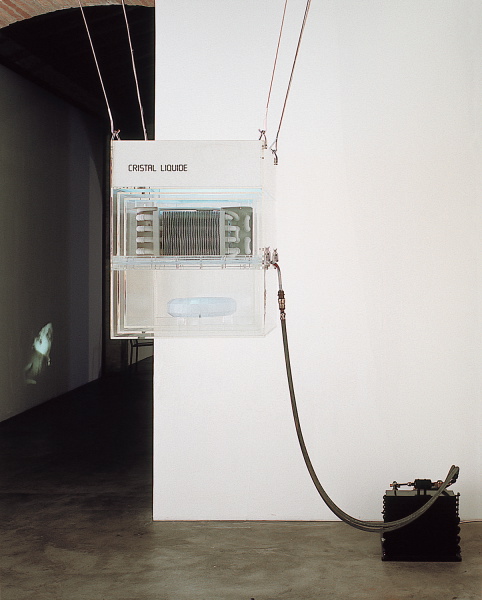 {Cristal Liquide,} 1982