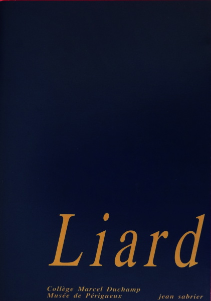 {Liard n° 2-3}, Collège Marcel Duchamp / Musée de Périgueux, 1993