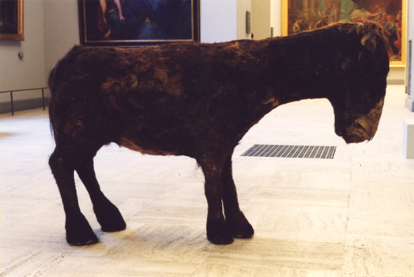 {Âne,} 2001 (Œuvre détruite)