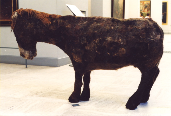{Âne,} 2001