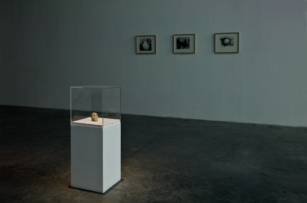 Vue de l'exposition {{Dynasty}}, 2010, Palais de Tokyo, Paris