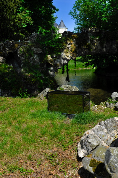 {Aquarium pour poisson timide,} 2011