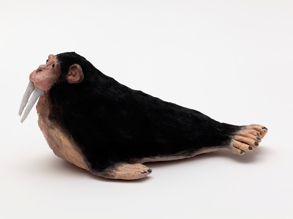{Chimpanzée-Morse,} 2016
