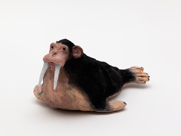 {Chimpanzée-Morse,} 2016