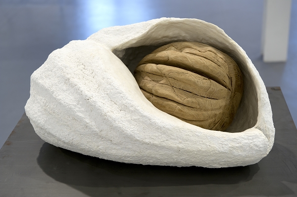 {Coquillage et noix,} 2012