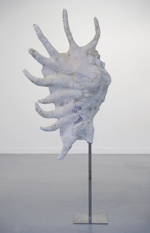 {Coquillage IV,} 2012