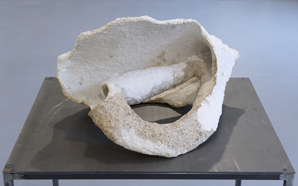 {Coquillage III,} 2012