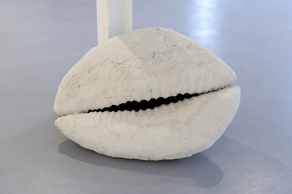 {Coquillage II,} 2012