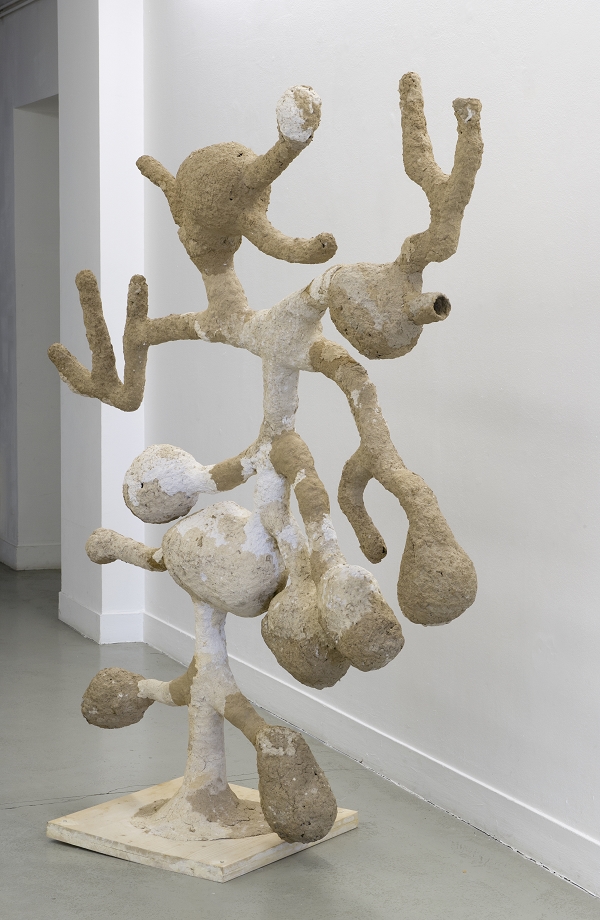 {Galerie de Taupes II,} 2012