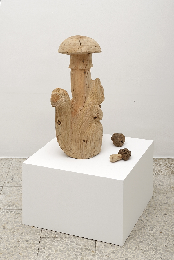 {Écureuil saprophyte,} 2015