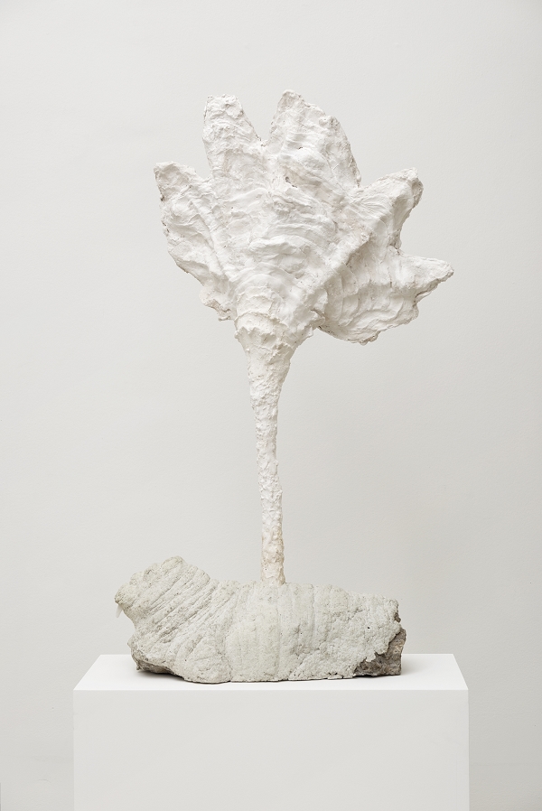 {Morse végétal,} 2015