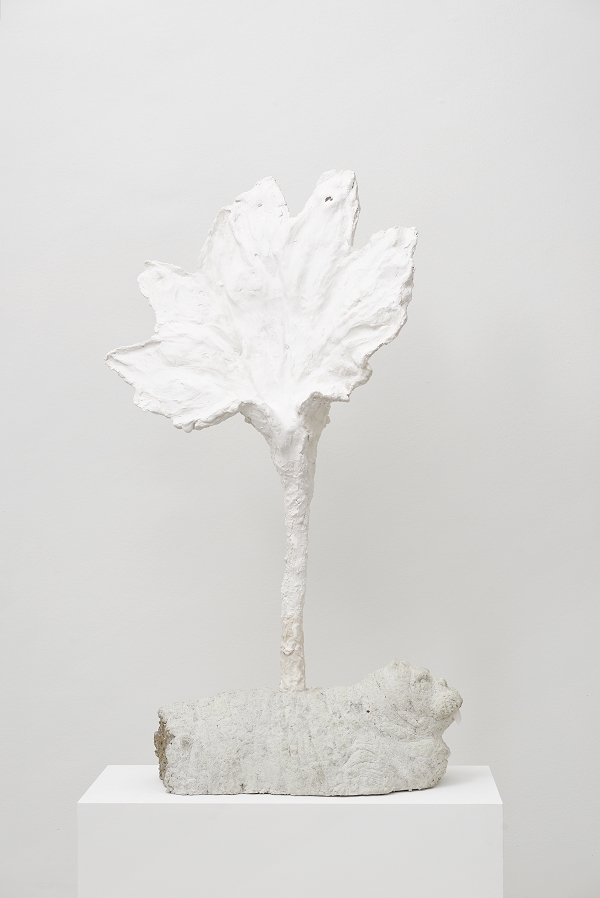 {Morse végétal,} 2015
