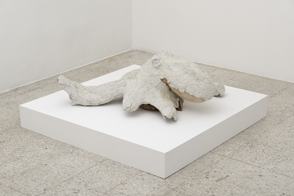 {Pieuvre végétale,} 2015