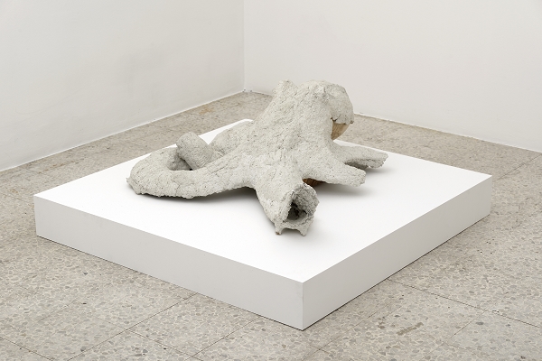 {Pieuvre végétale,} 2015