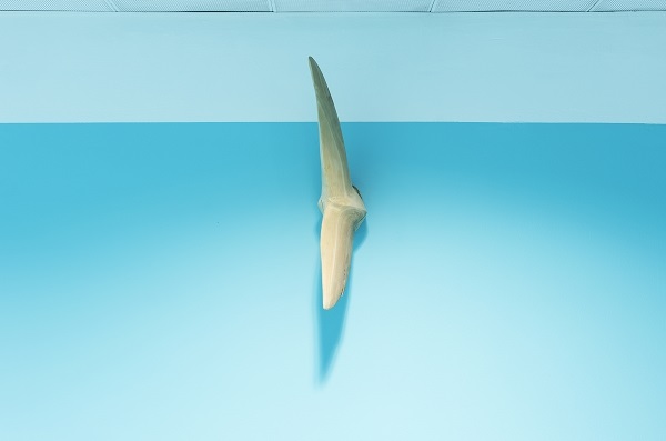 {Point Nemo,} 2016