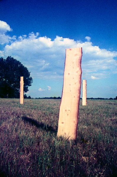 {Forêt,} Lalinde, 1976 (détail)
