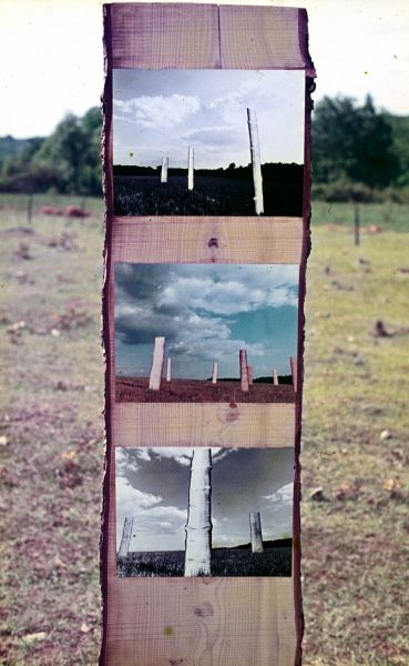 {La Dernière sapinette,} Lalinde, 1976