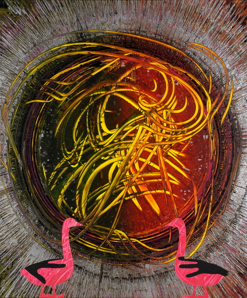 {Loi de Cussac,} 2004-2005