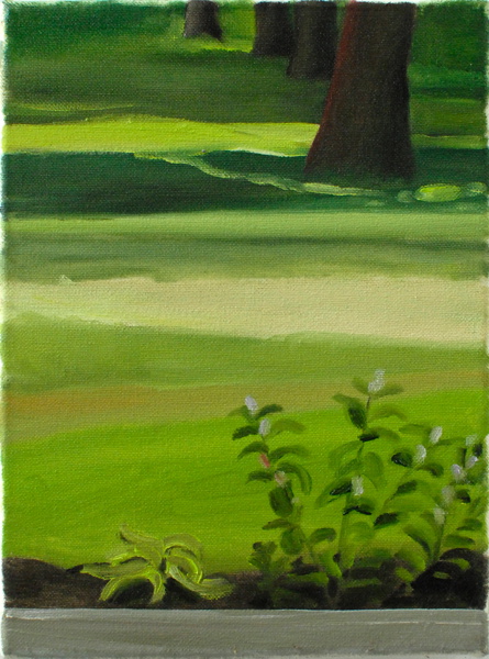 {Vue sur la forêt 29/08/08,} 2008