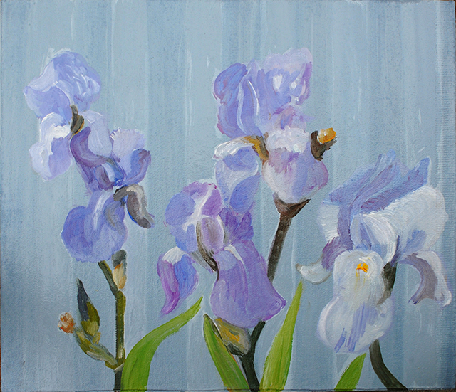 {Iris clairs}, 22 avril