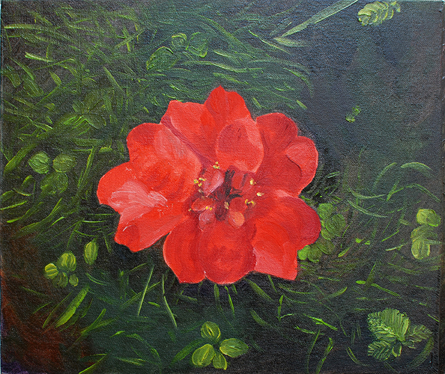 {Camélia rouge}, 23 avril