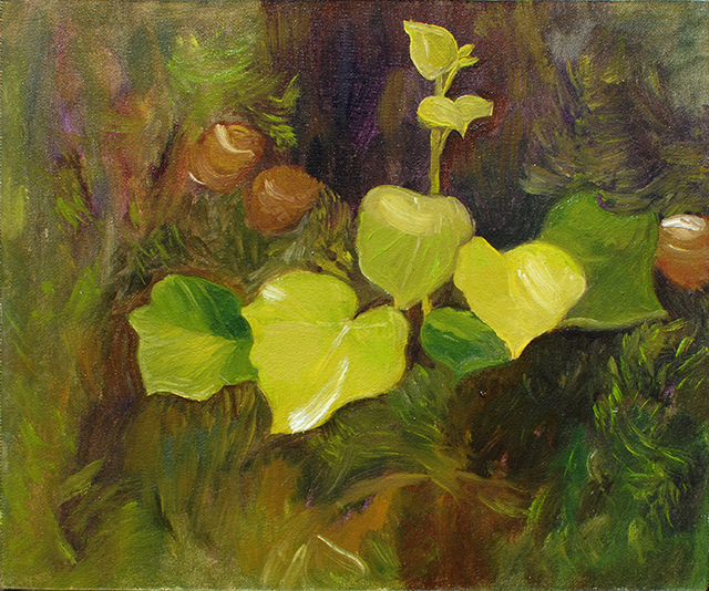 {Lierre dans le cyprès}, 26 avril
