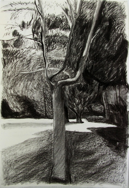 {130 Avenue de la Belle Etoile}