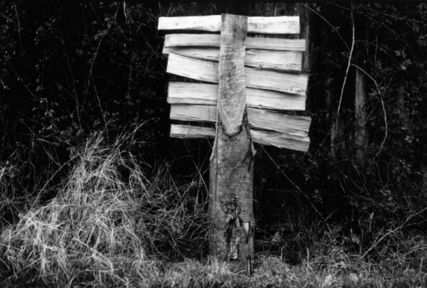 {Signes}, 1990