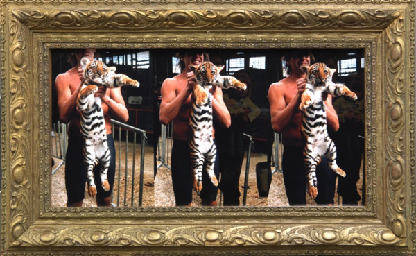 {Tiger Trainer,} 2005
