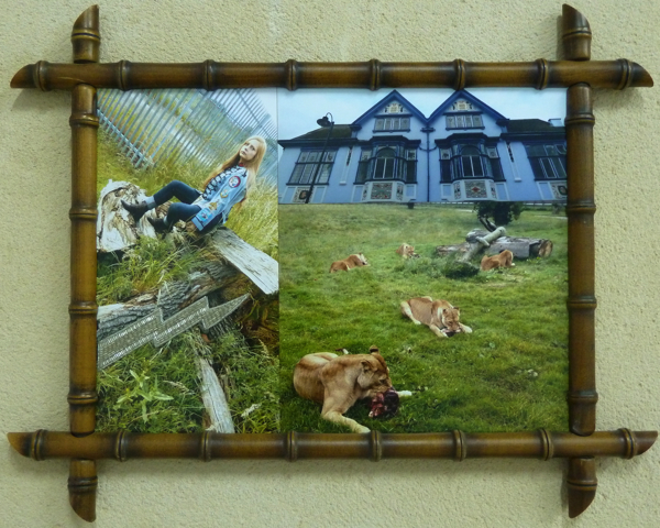 {Britania, Germanica, Exotica,} 2010-2012 (détail)