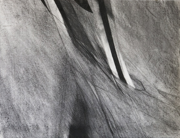 {Written in the Wind,} 1981