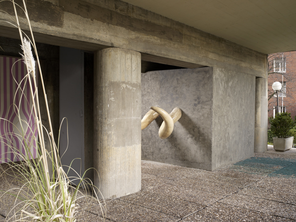 {Primary Structures,} 2008