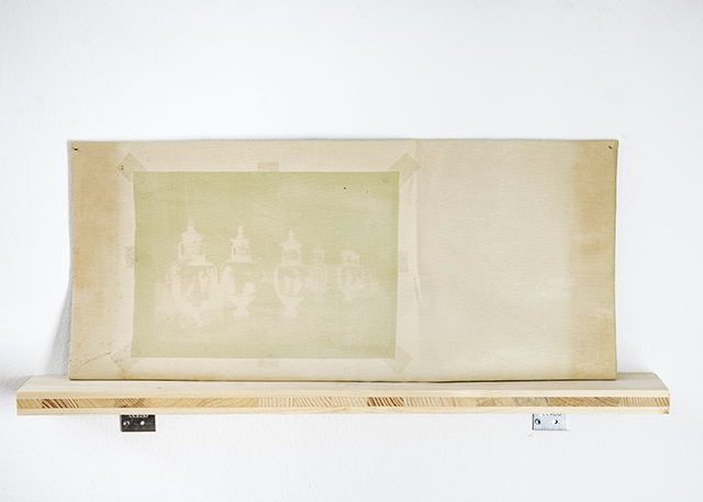 {La section des vases,} 2019
